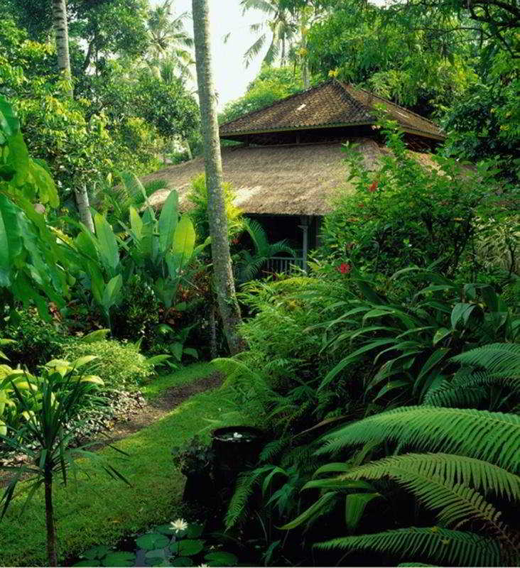 Hotel Taman Bebek Bali Ubud Exteriér fotografie