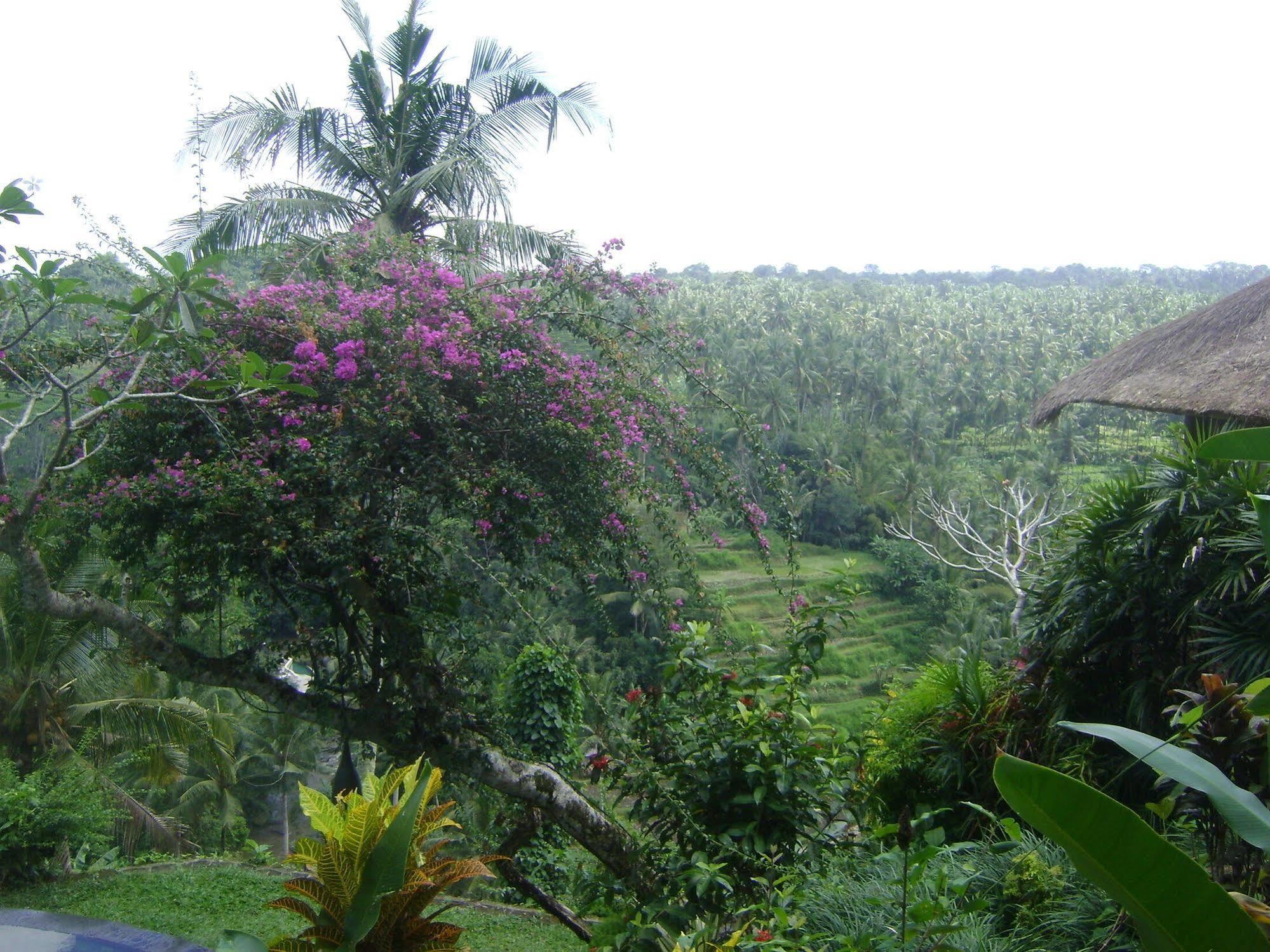 Hotel Taman Bebek Bali Ubud Exteriér fotografie