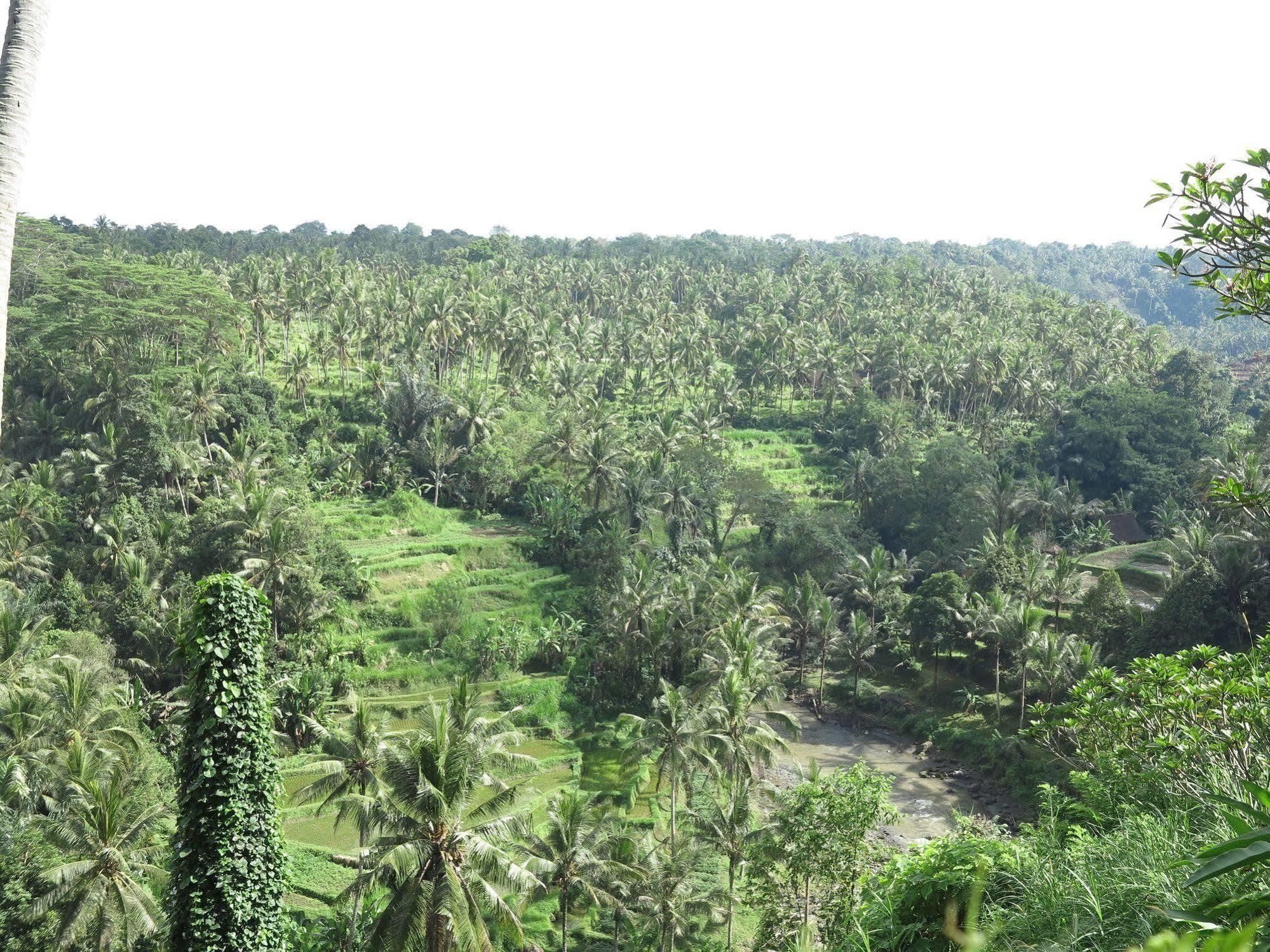 Hotel Taman Bebek Bali Ubud Exteriér fotografie